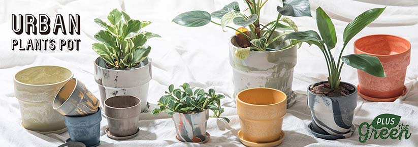 園芸用品・花材用品の卸売・仕入サイトwelzo BUSINESS / TOPページ