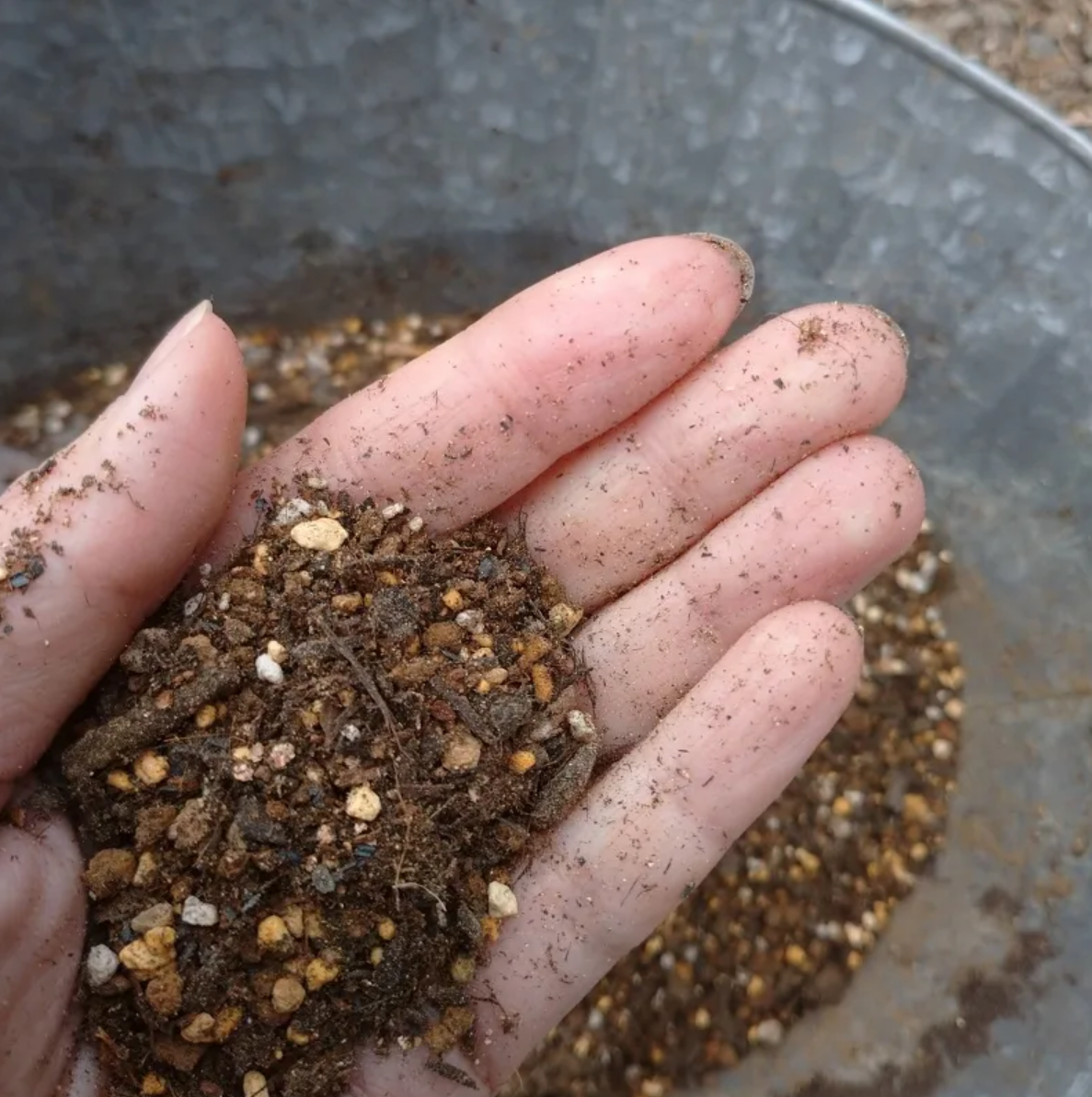 国産の鹿沼土（細粒）、赤玉土（極小粒）、黒土をメインに有機たい肥などをブレンドした土