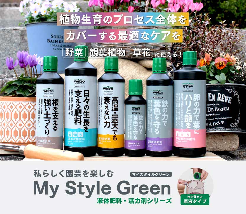 My Style Green「植物と暮らし、わたしが整う」