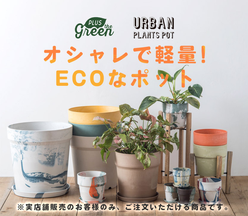 URBAN PLANTS POT