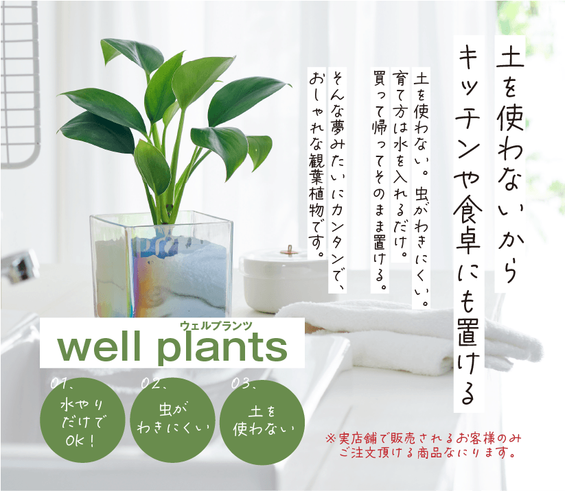 well plants